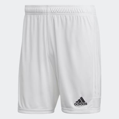 Adidas Short Tastigo 19 