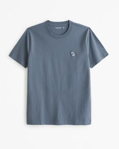 Abercrombie Polished Elevated Icon Tee 