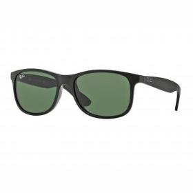 Ray_ban RB4202 Andy 