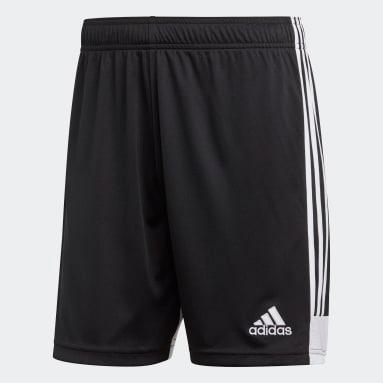 Adidas Short Tastigo 19 