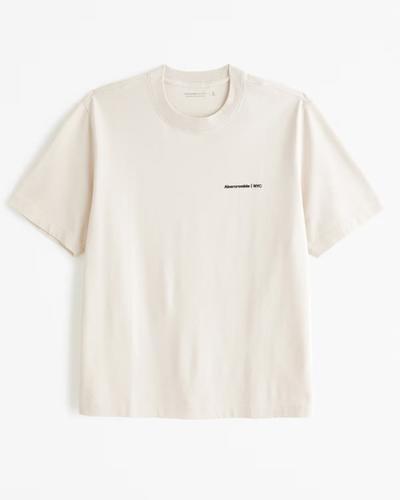 Abercrombie Premium Polished Micro-Logo Tee 