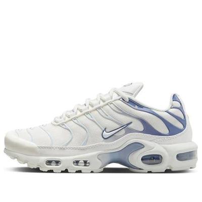 Nike (WMNS)  Air Max Plus 'Ashen Slate' 