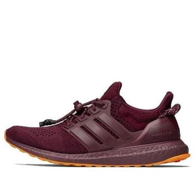 Adidas  Ivy Park x UltraBoost 'Maroon' 