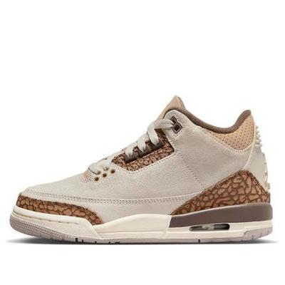 Jordan (GS) Air Jordan 3 Retro 'Palomino' 